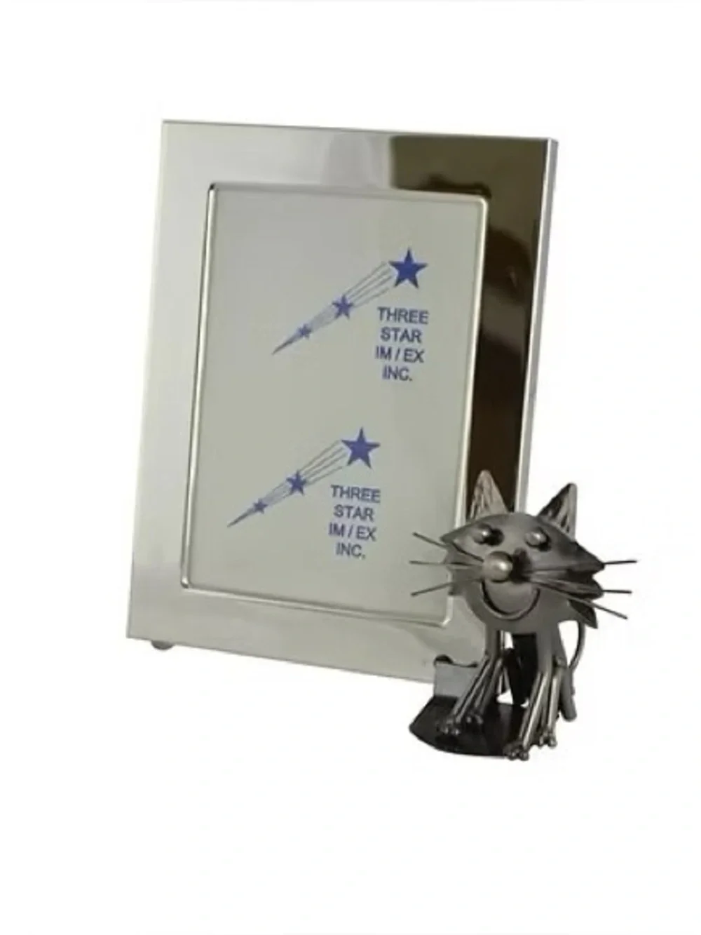 NWT Silver cat frame